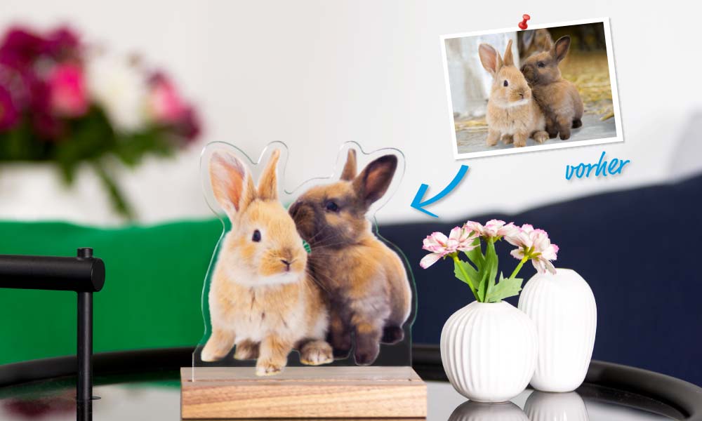 Fotofigur Kaninchen Hole Dir Deine Lieblinge in Dein Zuhause